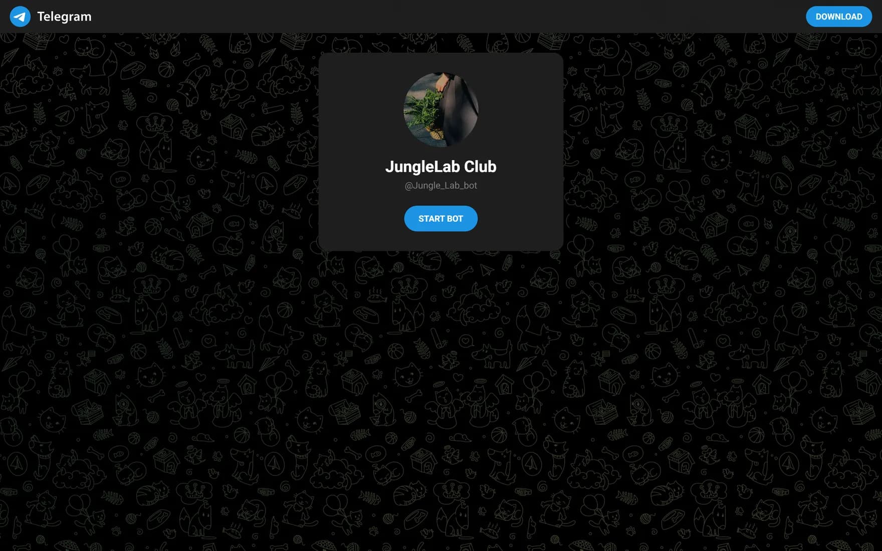Jungle Lab — Telegram-бот курса